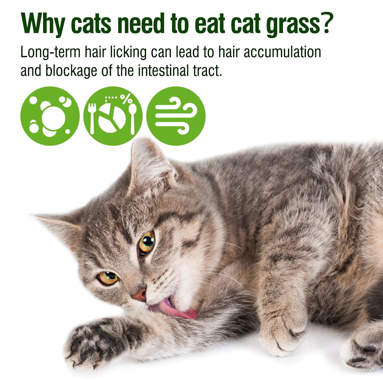 HKpetie cat grass teething stick textured surface for chewing.