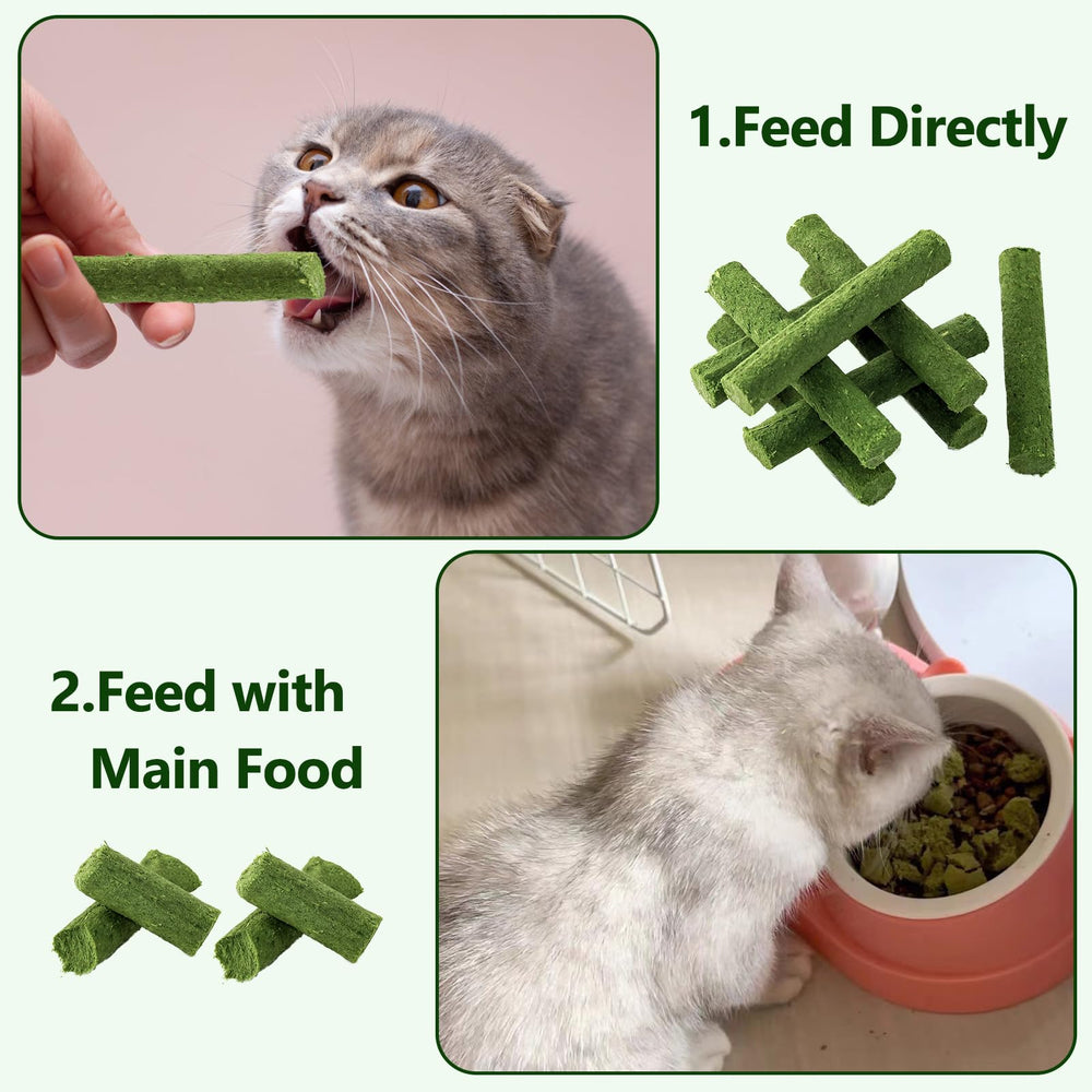 HKpetie cat grass teething stick used as training reward.