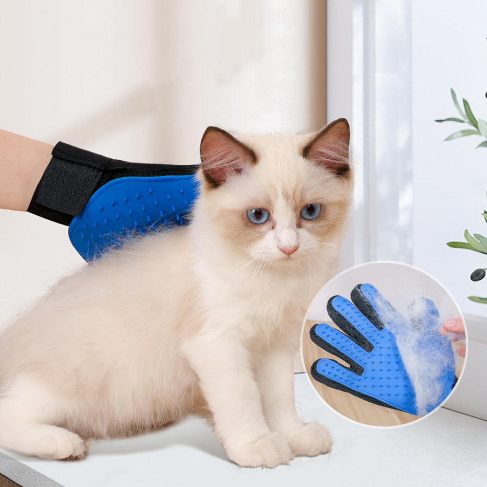Hlimior kitten starter kit nail file enables safe trimming sessions.