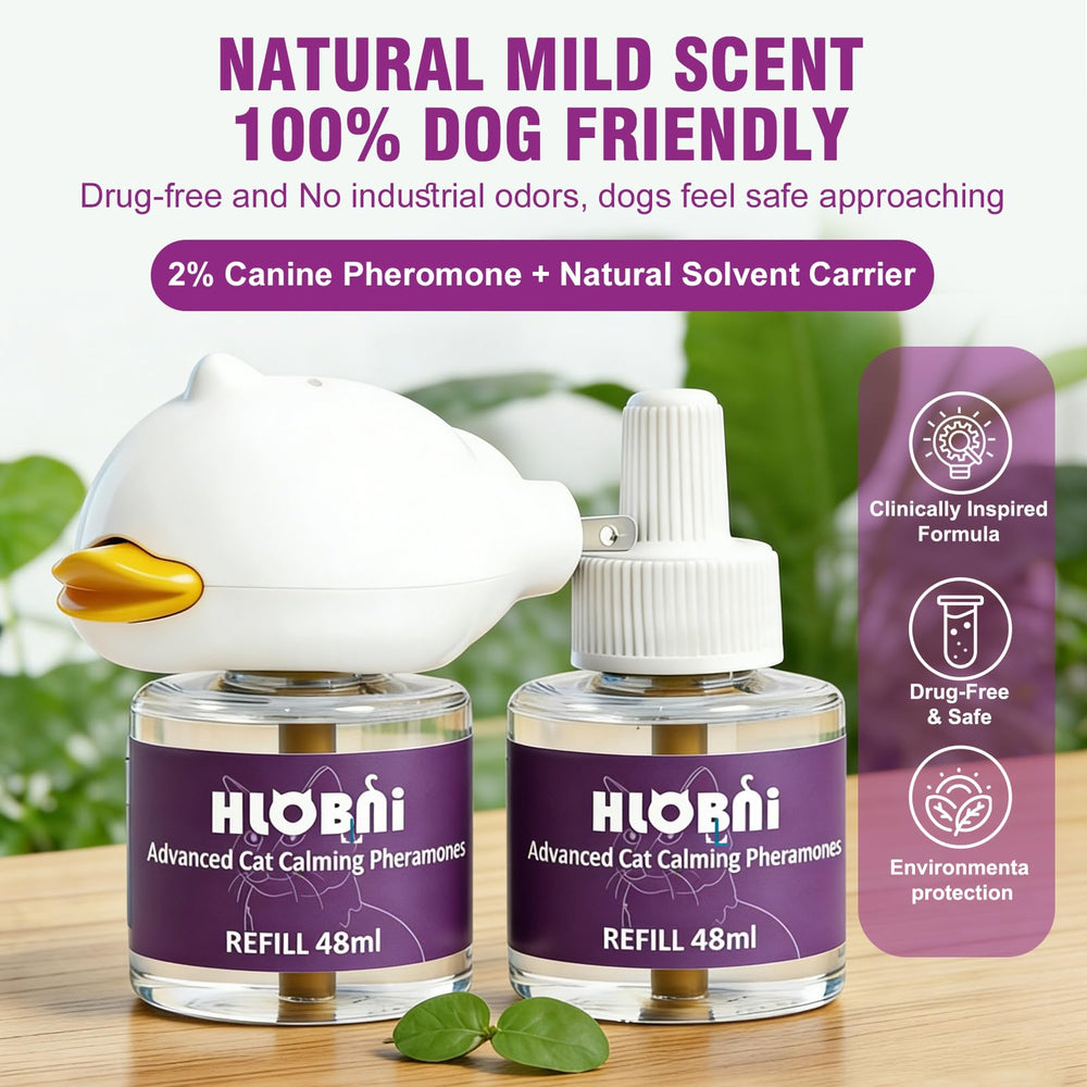 HLOBNI multi-cat harmony setup helps maintain a peaceful home.