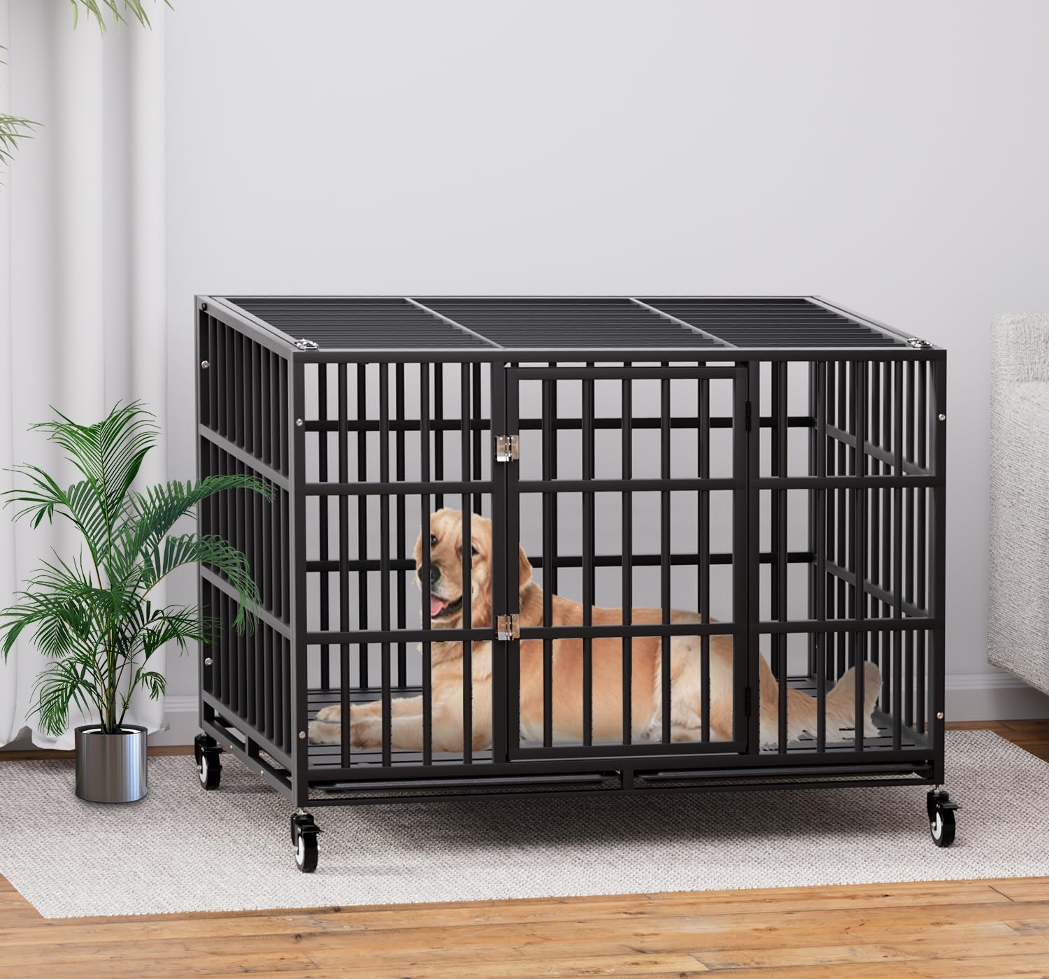 HMHTCT XL-XXL size options accommodate large dog breeds.