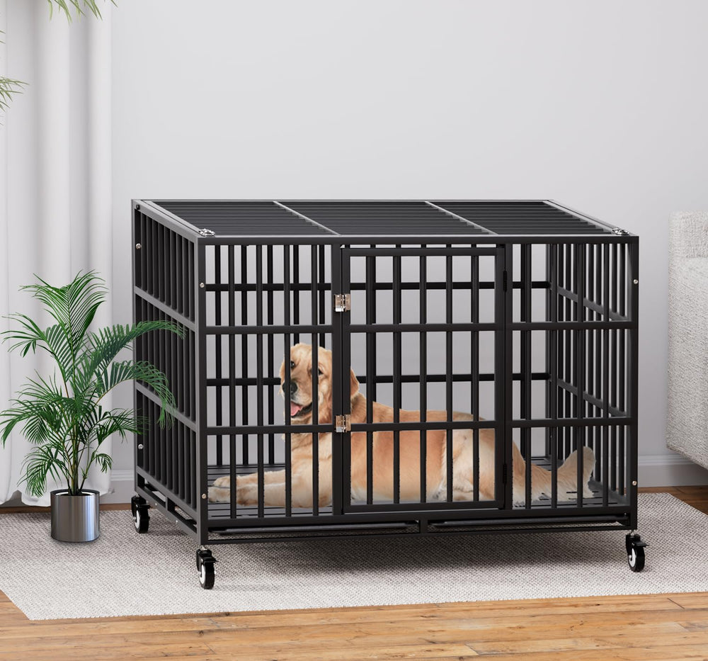 HMHTCT XL-XXL size options accommodate large dog breeds.