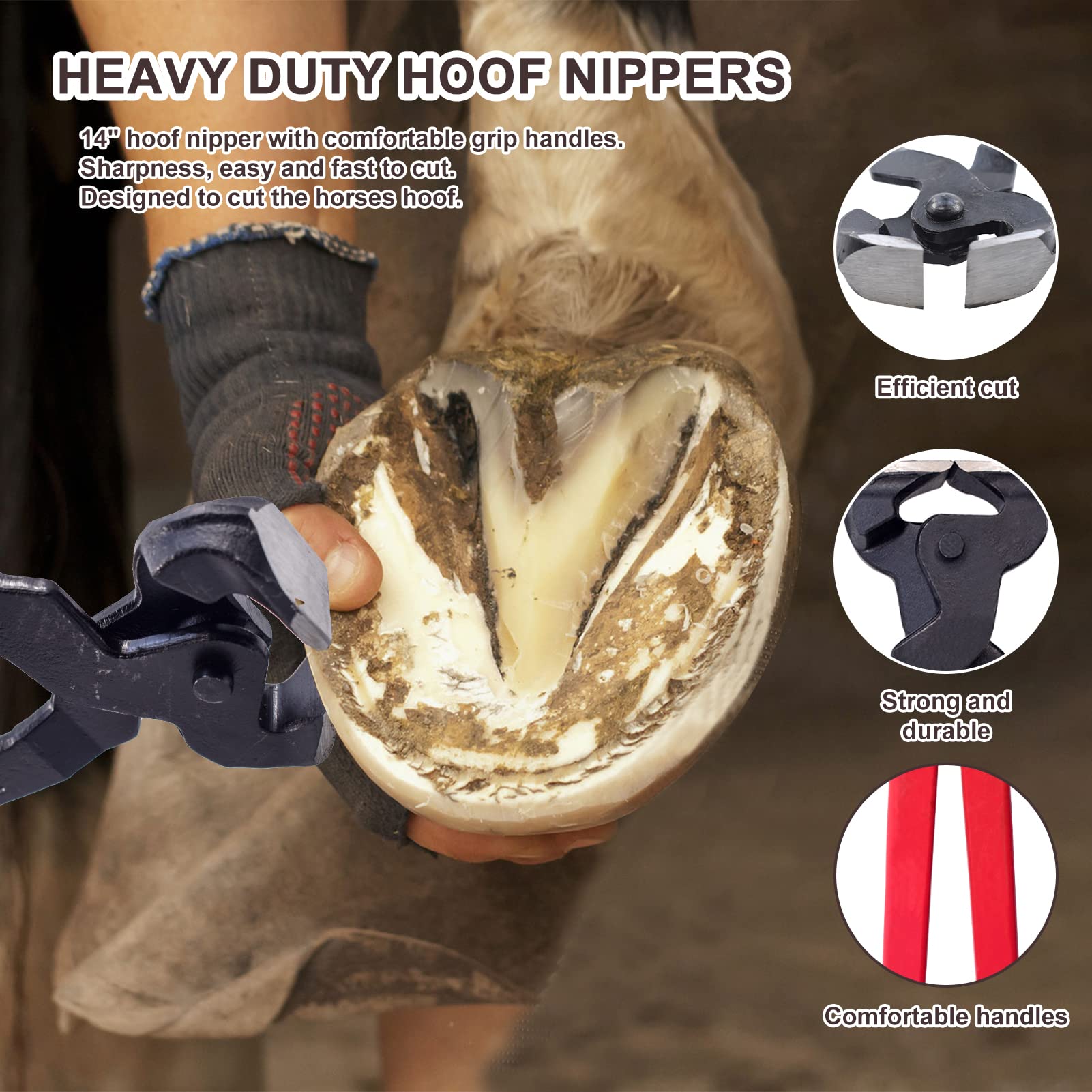 HNONPW farrier tools kit with sturdy storage bag keeps tools organized.