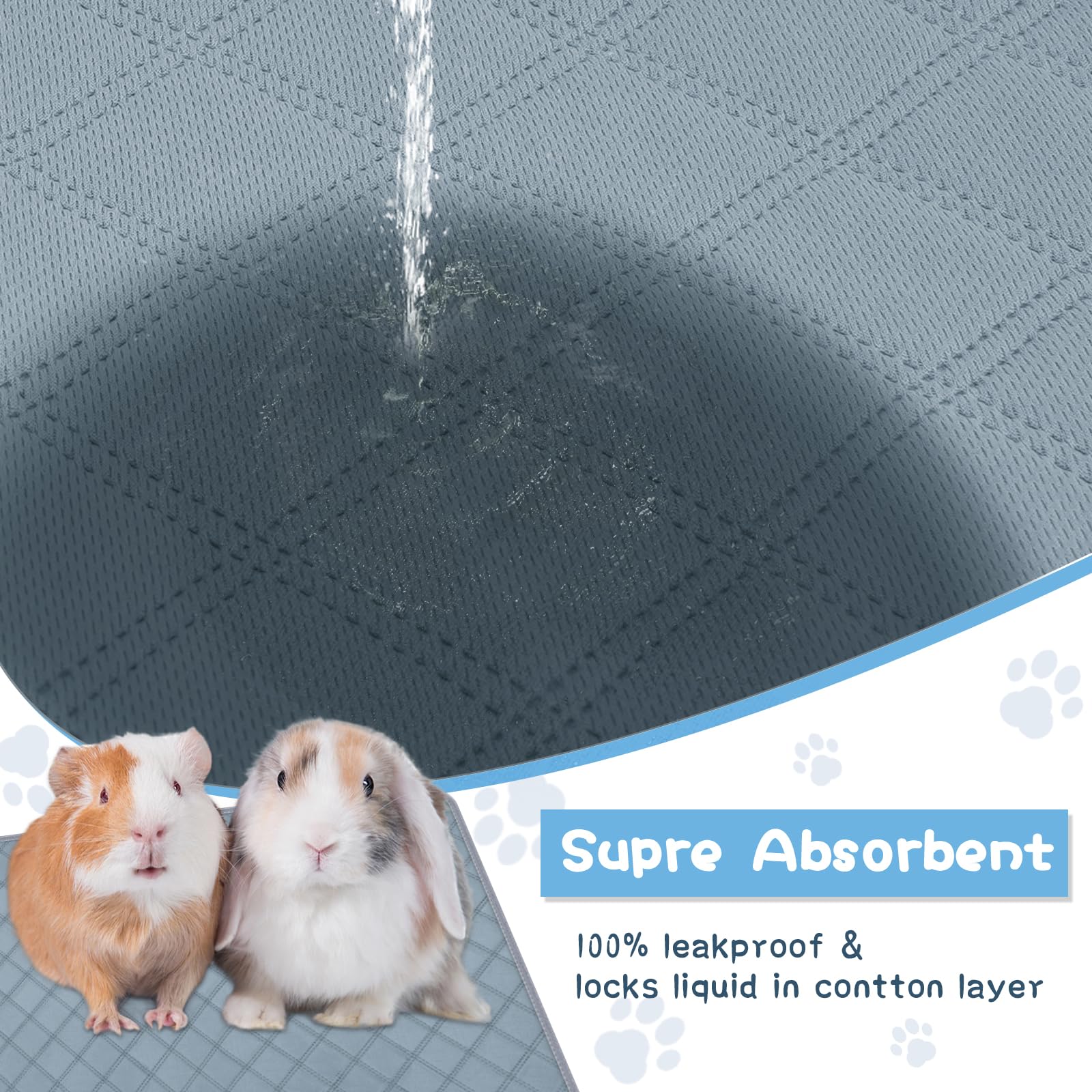 HOBBTREE non-slip silicone bottom prevents shifting during use.