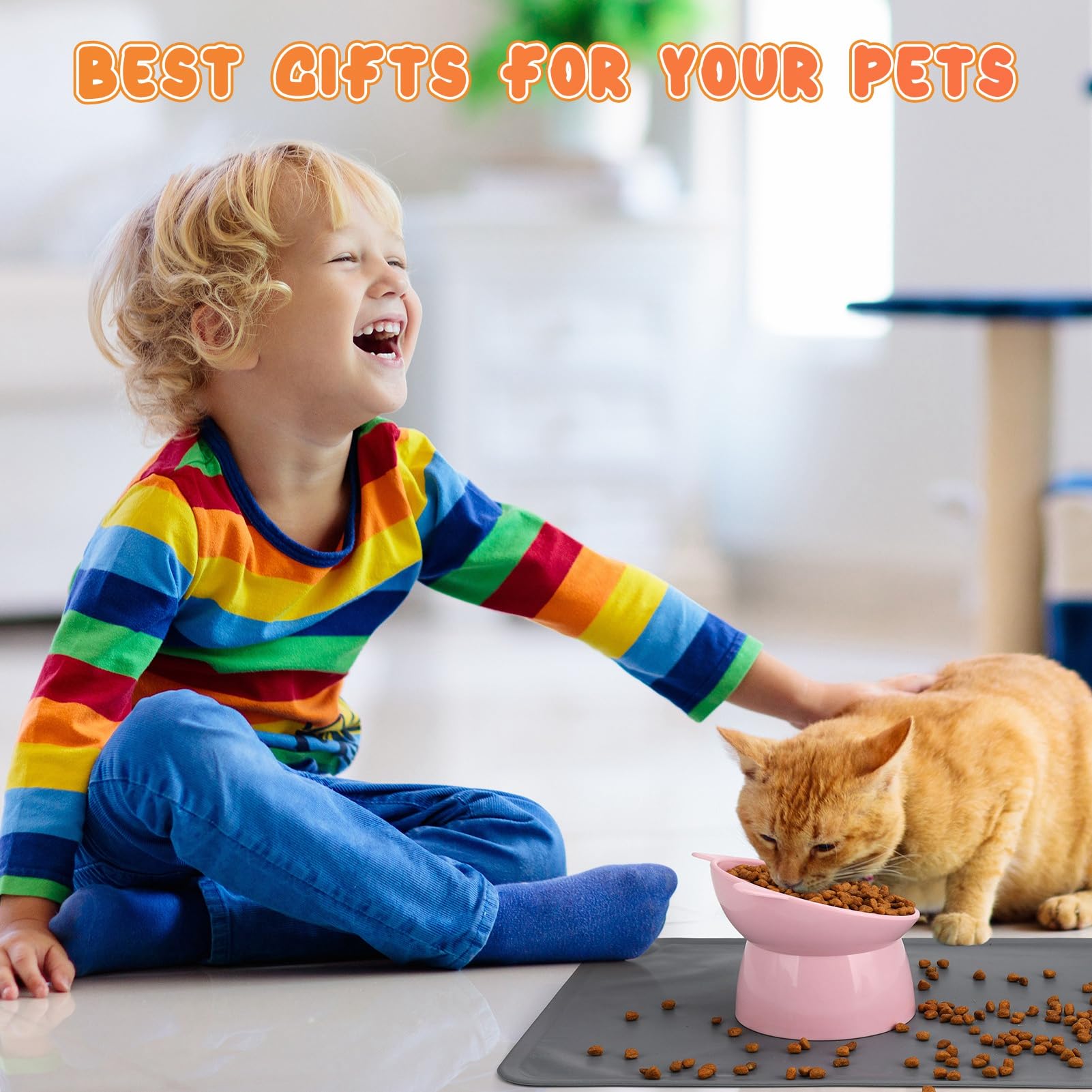 Hoemwarm colorful cat dining area enhances pet space.