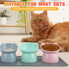 Hoemwarm silicone feeding mat for mess-free dining.