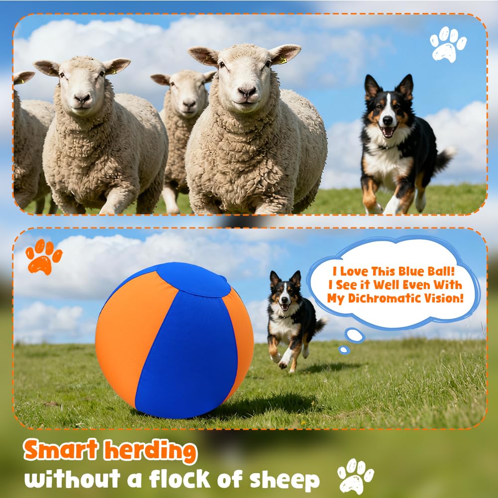 HOESDA ball suits Australian and German Shepherds well.