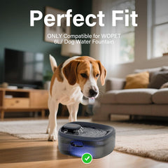 HOETEK dog water fountain setup shows clean dispenser and ready-to-use filters