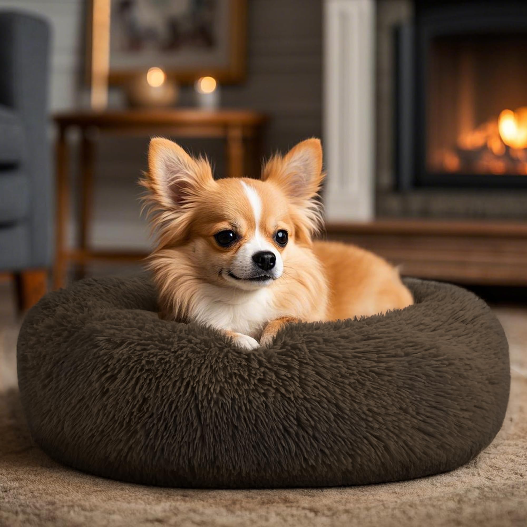 Hoewina round dog bed in coffee bottom shows waterproof anti-slip base