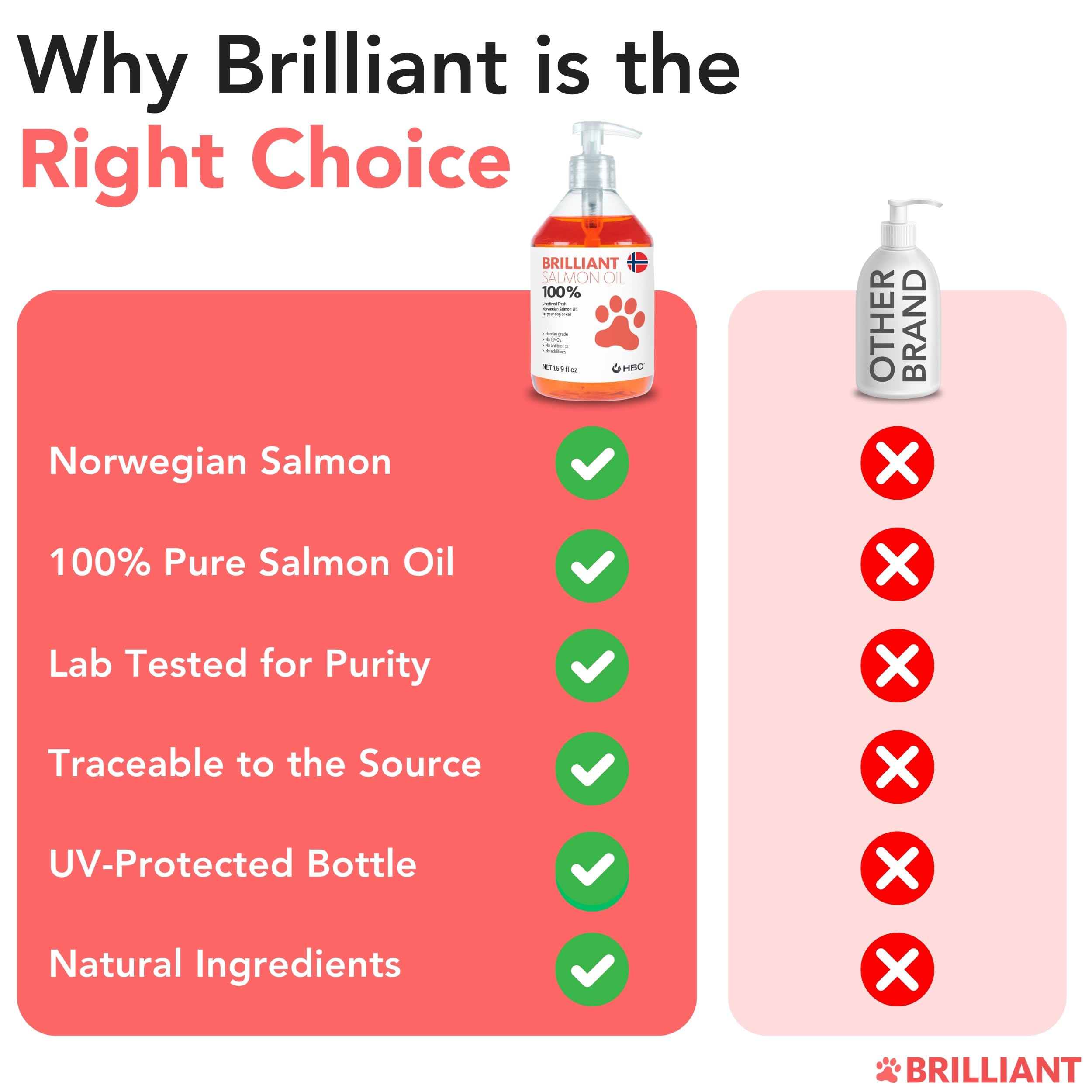 Brilliant Salmon Oil bottle highlights natural color and freshness for pets.