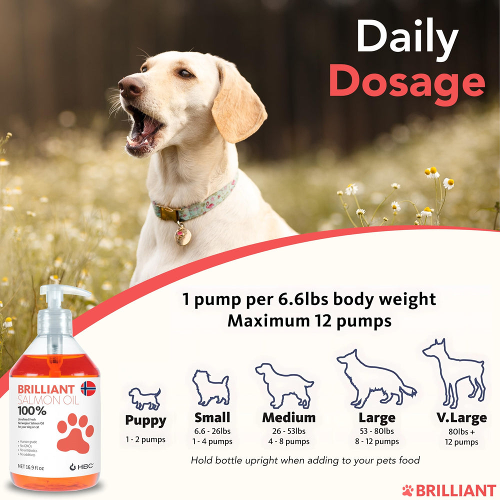 Hofseth BioCare Brilliant Salmon Oil from Norway, Non-GMO, for transparent sourcing.