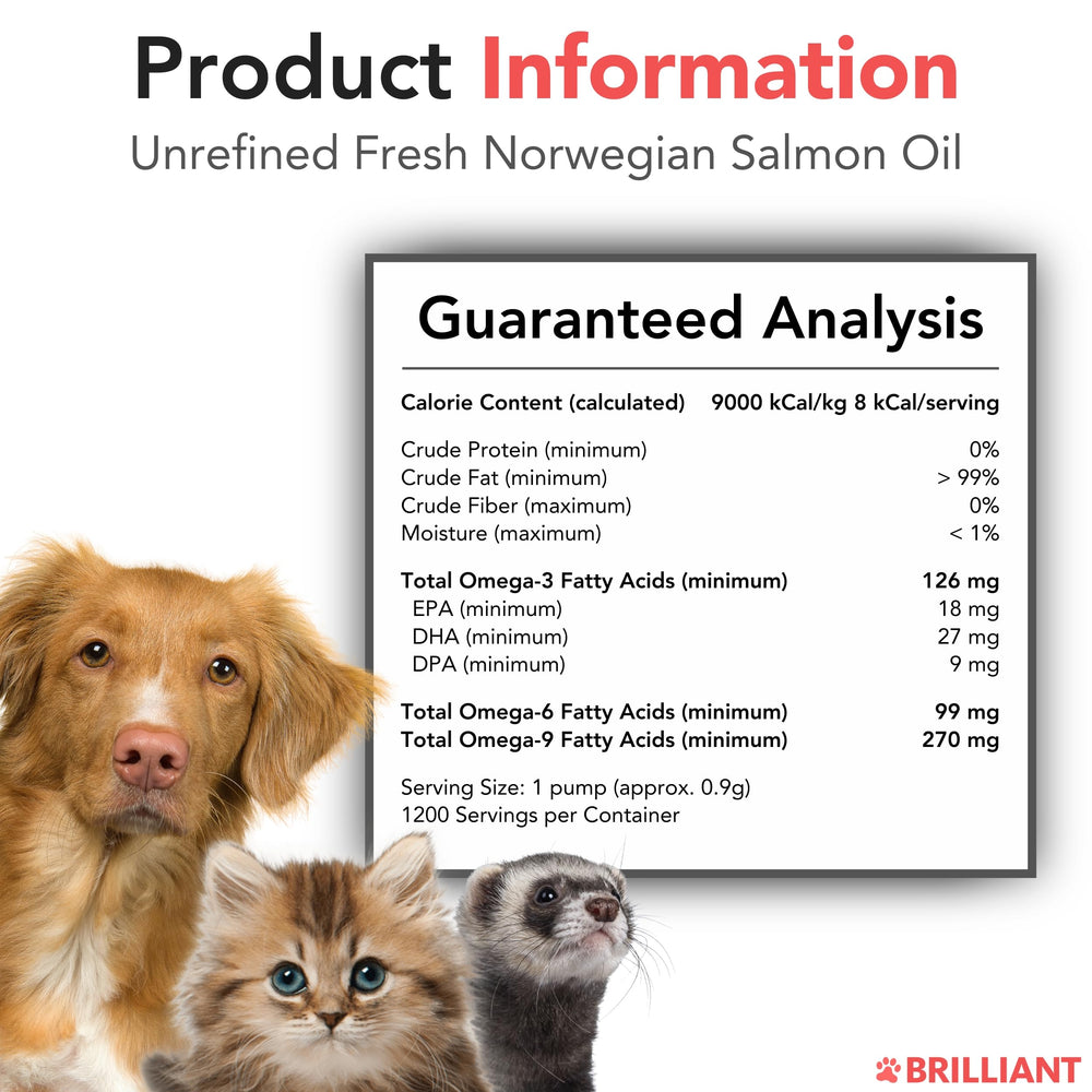 Hofseth BioCare Brilliant Salmon Oil suggesting joint comfort and brain health for pets