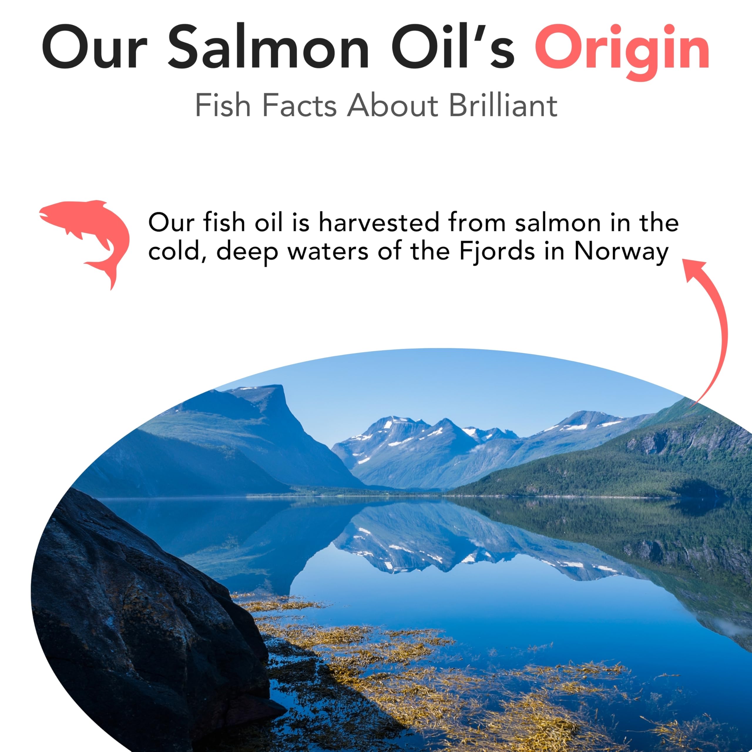 Hofseth BioCare Salmon Oil's fresh aroma inspires trust during dosing.