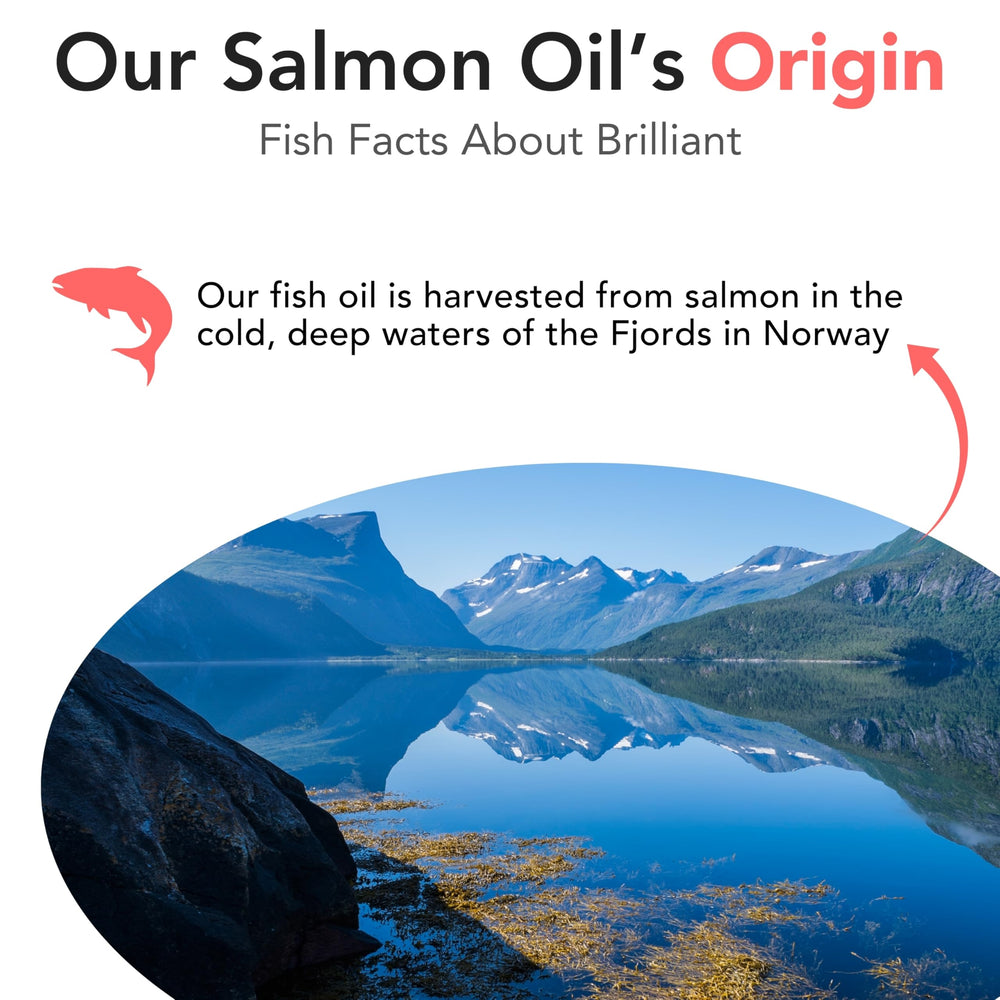 Hofseth BioCare Salmon Oil's fresh aroma inspires trust during dosing.