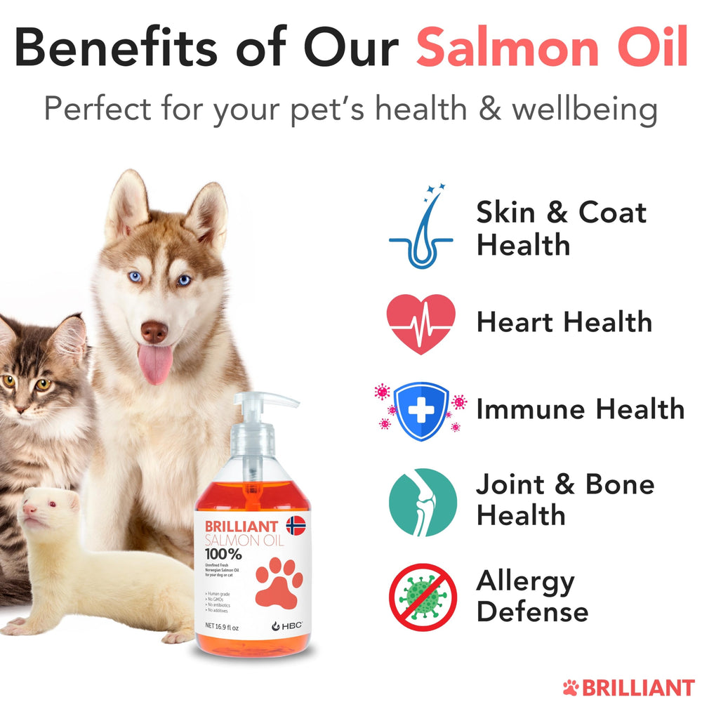 Hofseth BioCare Salmon Oil pump-dispense on pet food for easy dosing