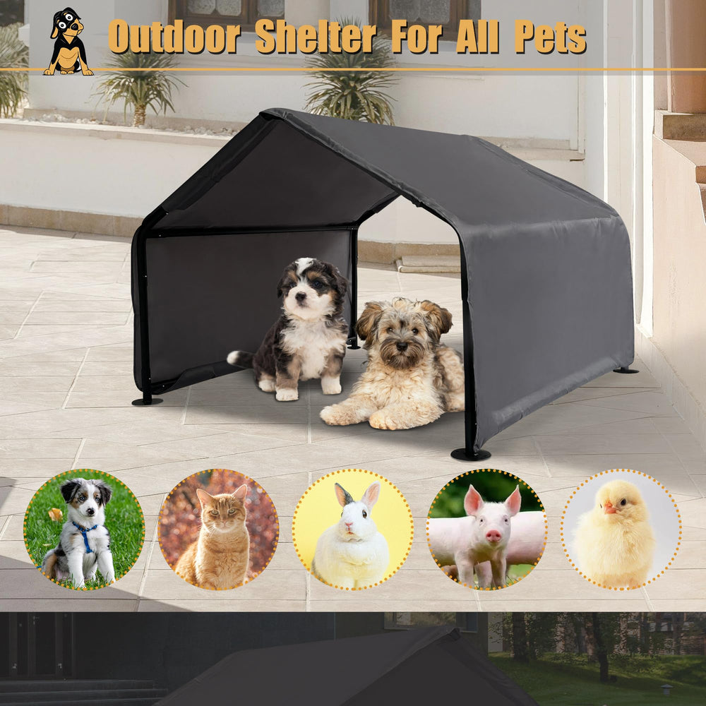 Hohuqeri spacious interior lets dogs relax comfortably in shaded area.