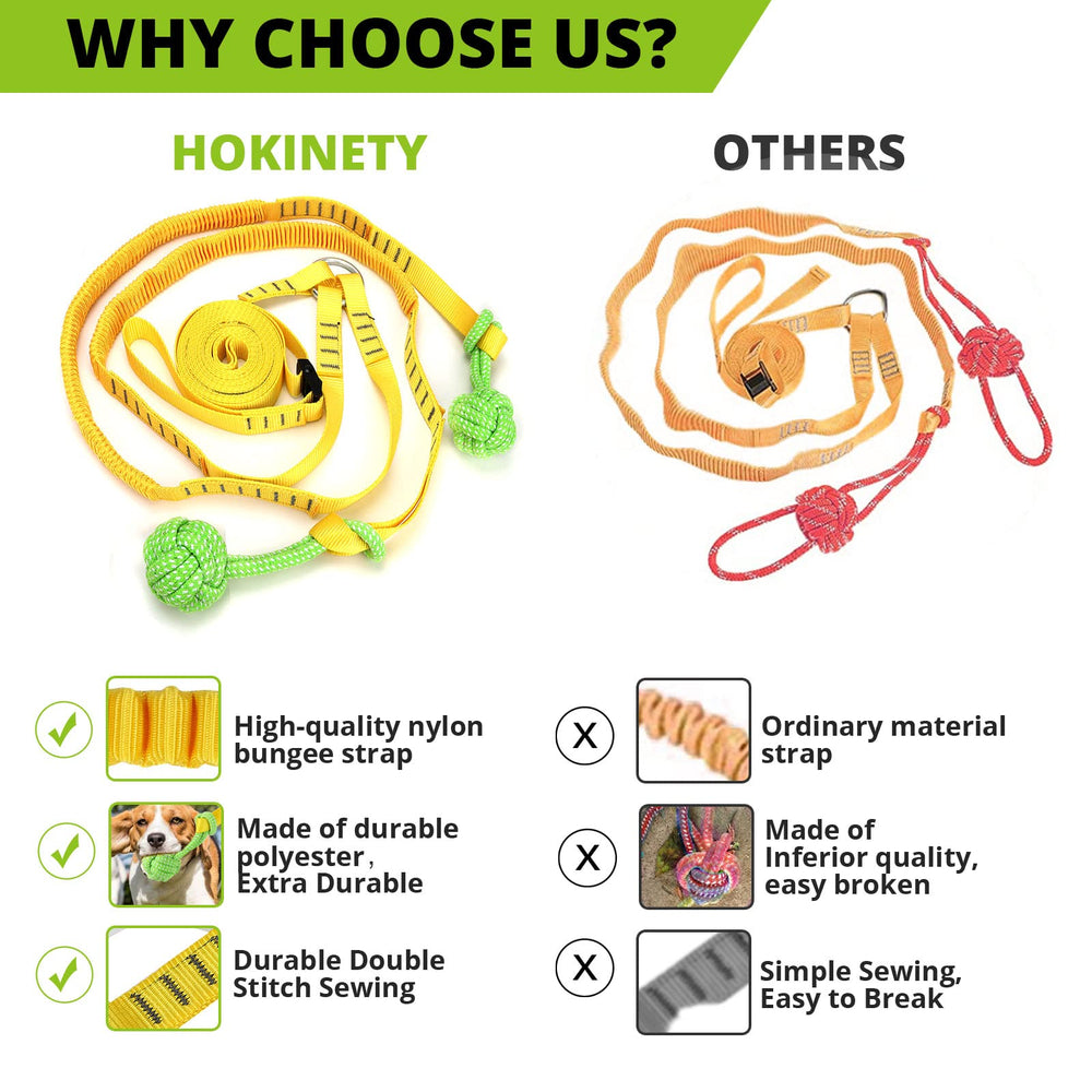 HOKINETY bungee-dog-tug-rope-in-action promotes energetic play and outdoor engagement