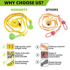 HOKINETY bungee-dog-tug-rope-in-action promotes energetic play and outdoor engagement