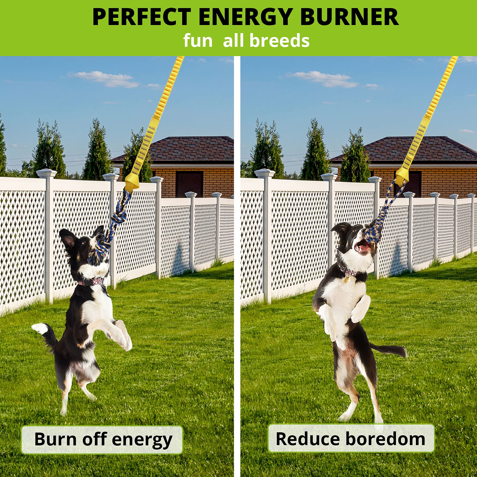HOKINETY easy hang height adjustable setup for any dog