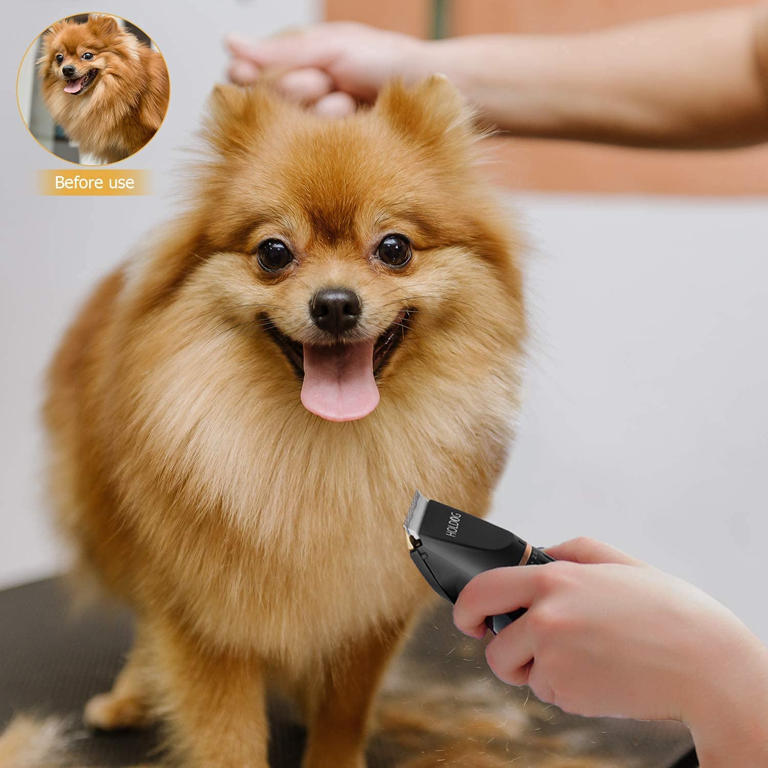 Holdog cordless grooming kit in compact design