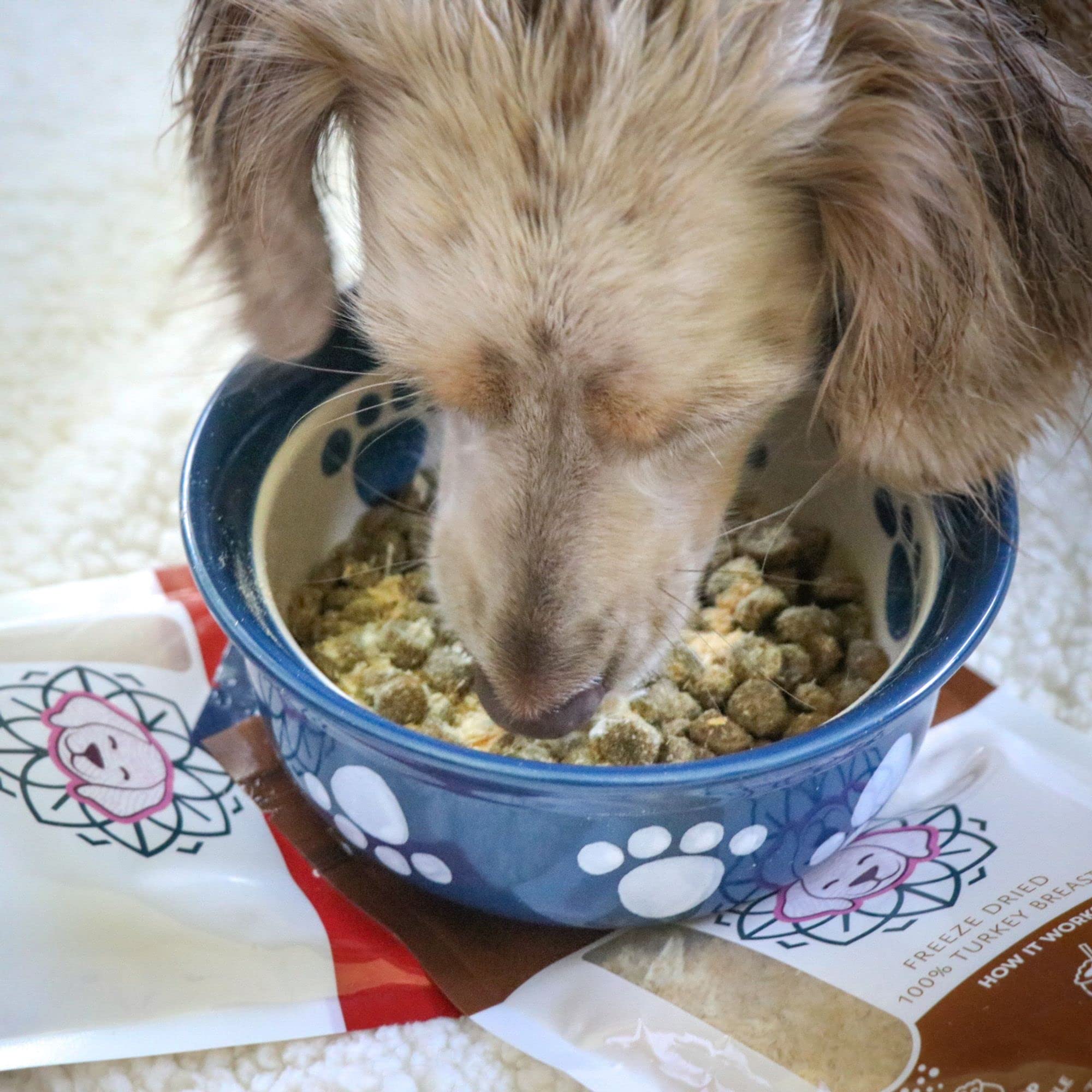 HOLI Beef Liver Powder Topper bowl with kibble enhances meal appeal