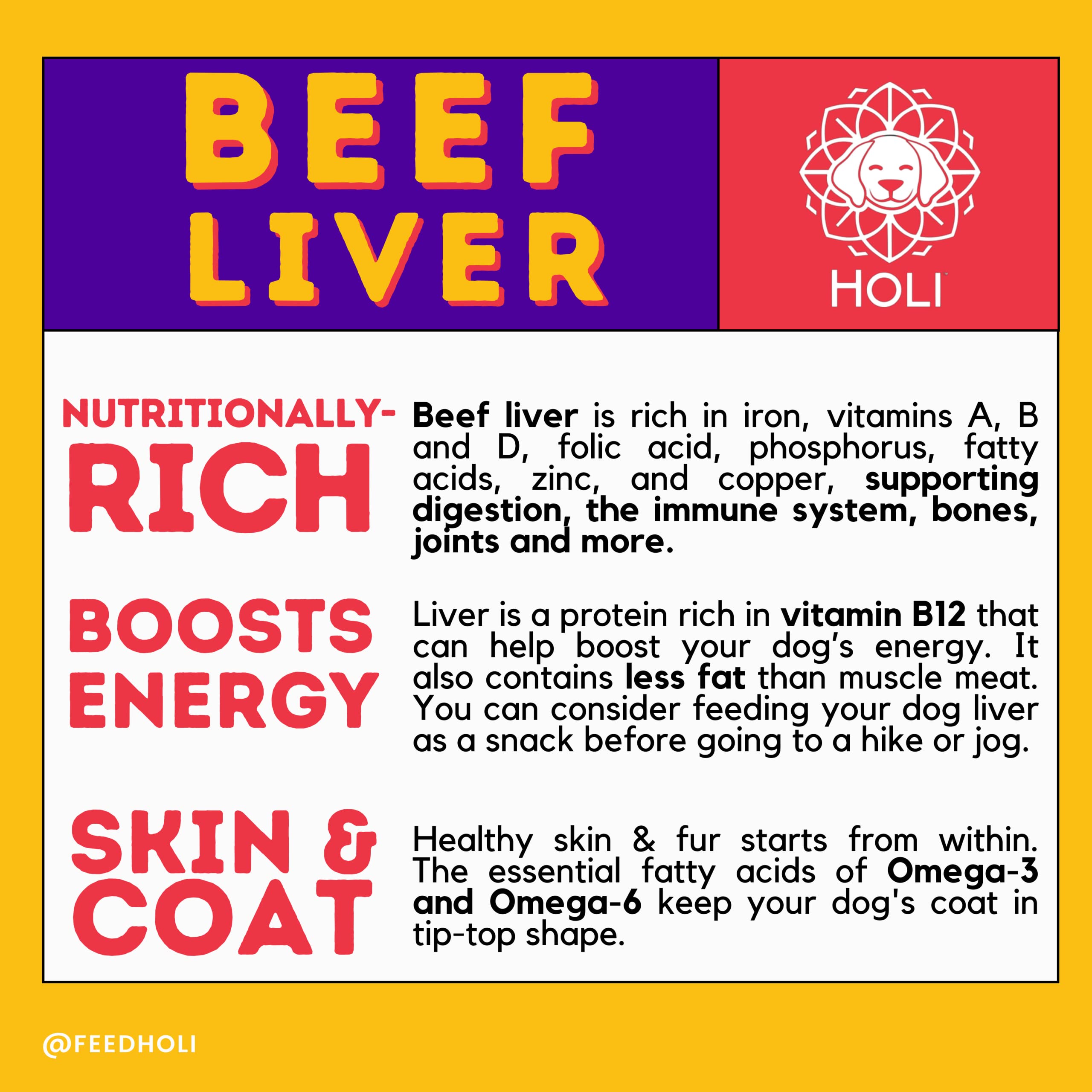 HOLI Beef Liver Powder Topper being added by a pet owner to kibble