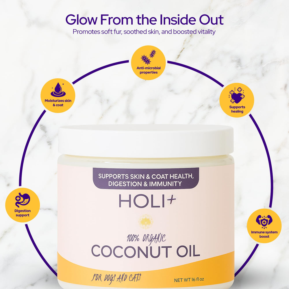 HOLI coconut oil for dogs coat-glow after regular use
