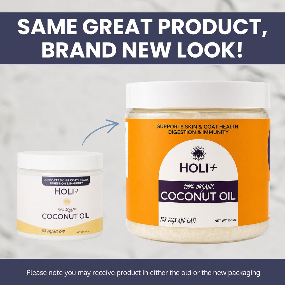 HOLI coconut oil seal-lid demonstrates convenient daily use