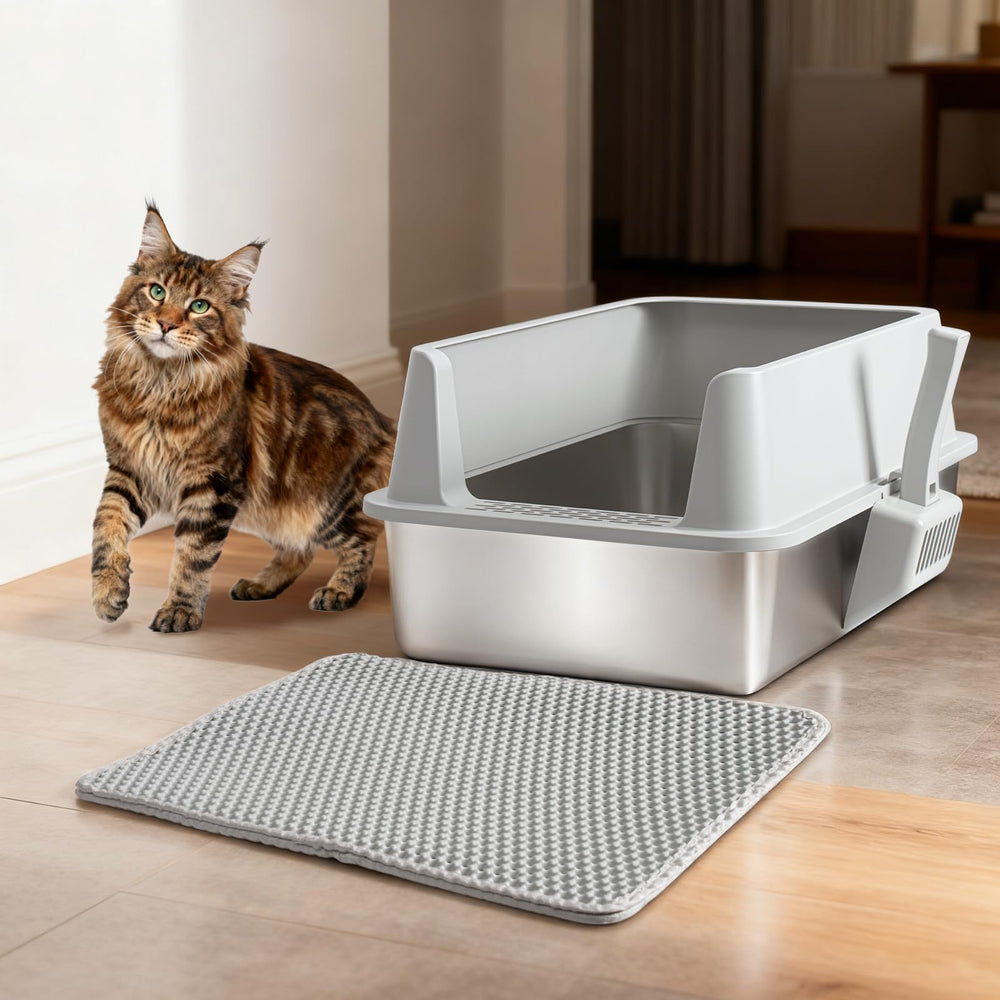 Holintan scoop included for quick, tidy litter maintenance.
