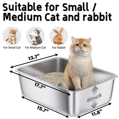 Holintan litter box interior view highlighting spacious area for small to medium cats.