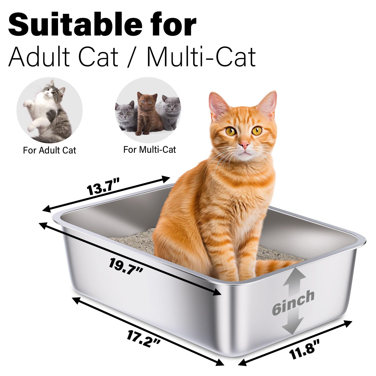 Holintan stainless steel litter box front view shows spacious interior