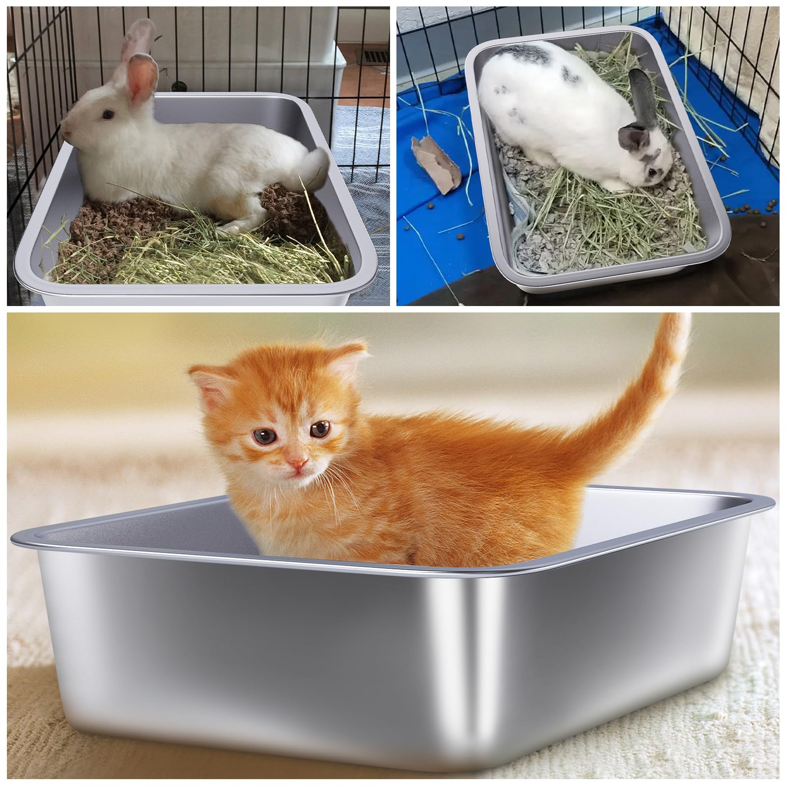 Holintan stainless steel litter box durable design for busy households.