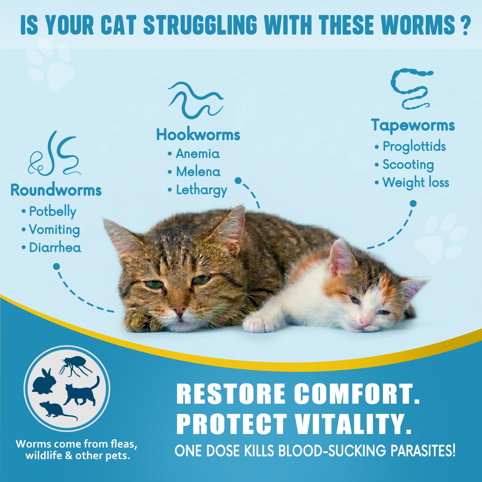 Holiqore dewormer bottle pour enables quick, clean dosing with wet food.
