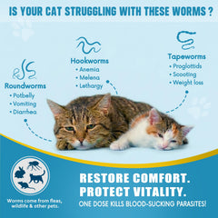 Holiqore dewormer bottle pour enables quick, clean dosing with wet food.