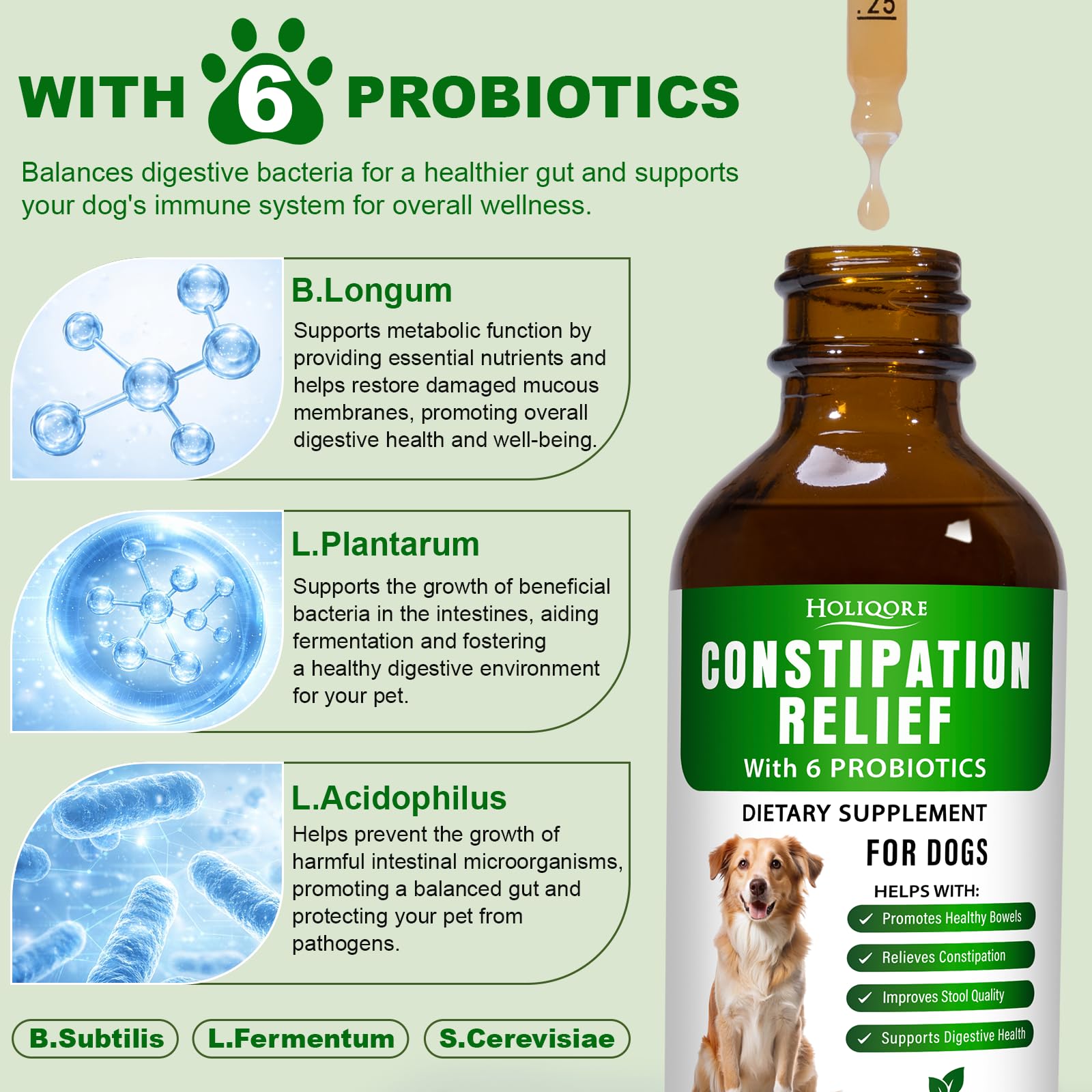 Holiqore Triphala and probiotics ingredients graphic for balanced digestion