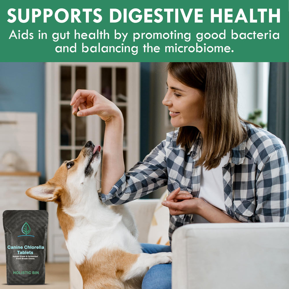 Holistic Bin meal toppers with fermented chlorella enhance daily feeding variety