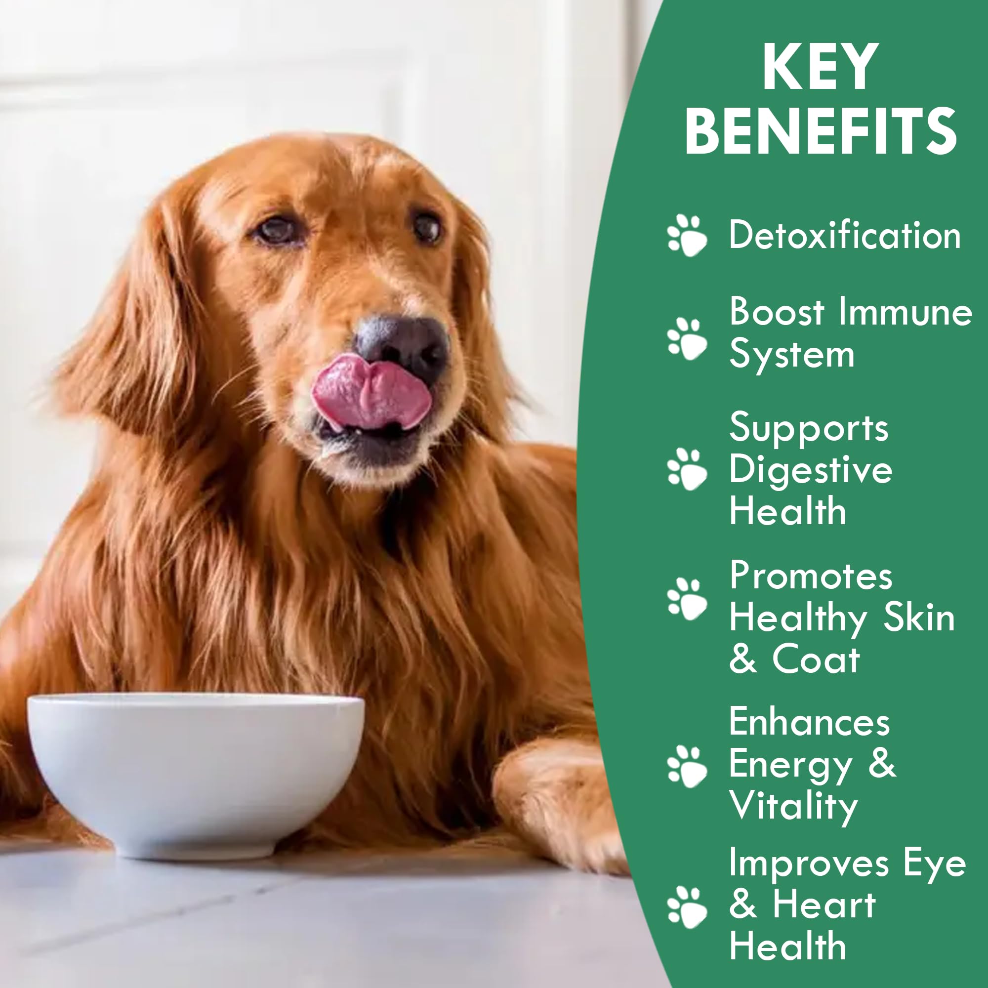 Holistic Bin fermented chlorella tablets support snack time versatility