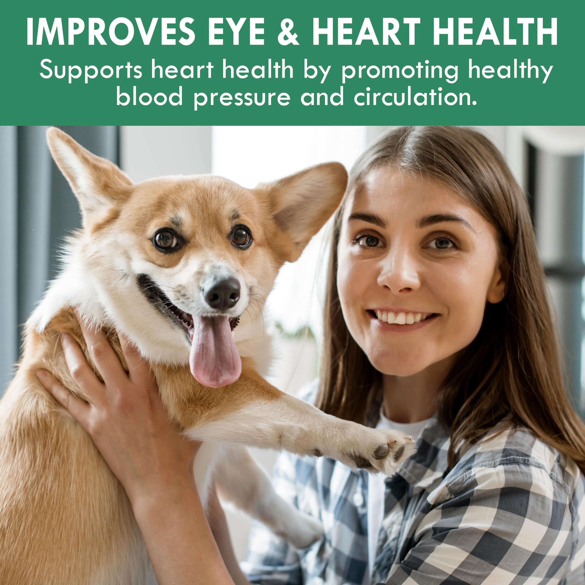 Holistic Bin chlorella tablets natural chlorophyll benefits for dog meals