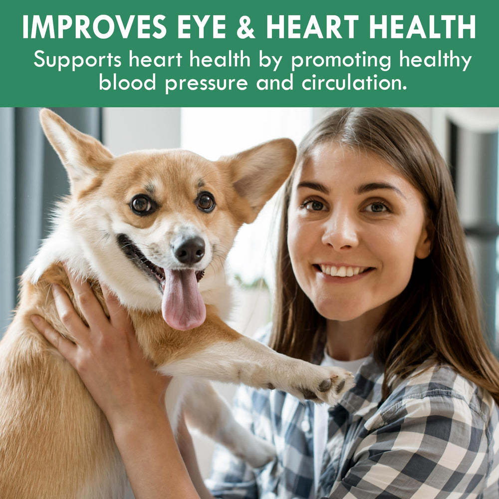 Holistic Bin chlorella tablets natural chlorophyll benefits for dog meals