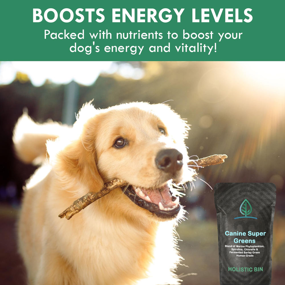 Holistic Bin chlorophyll-rich greens convey natural antioxidants for balanced meals.