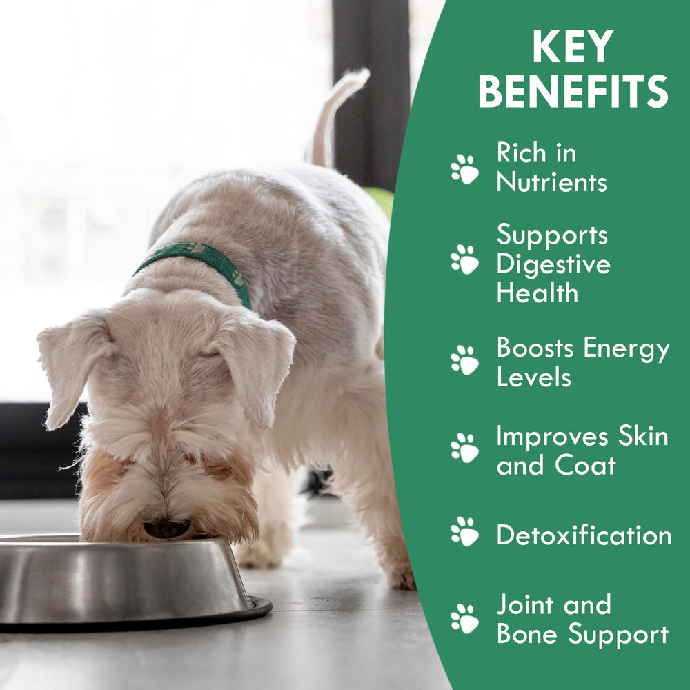 Holistic Bin dog food topper on dry kibble, boosting flavor and nutrition.