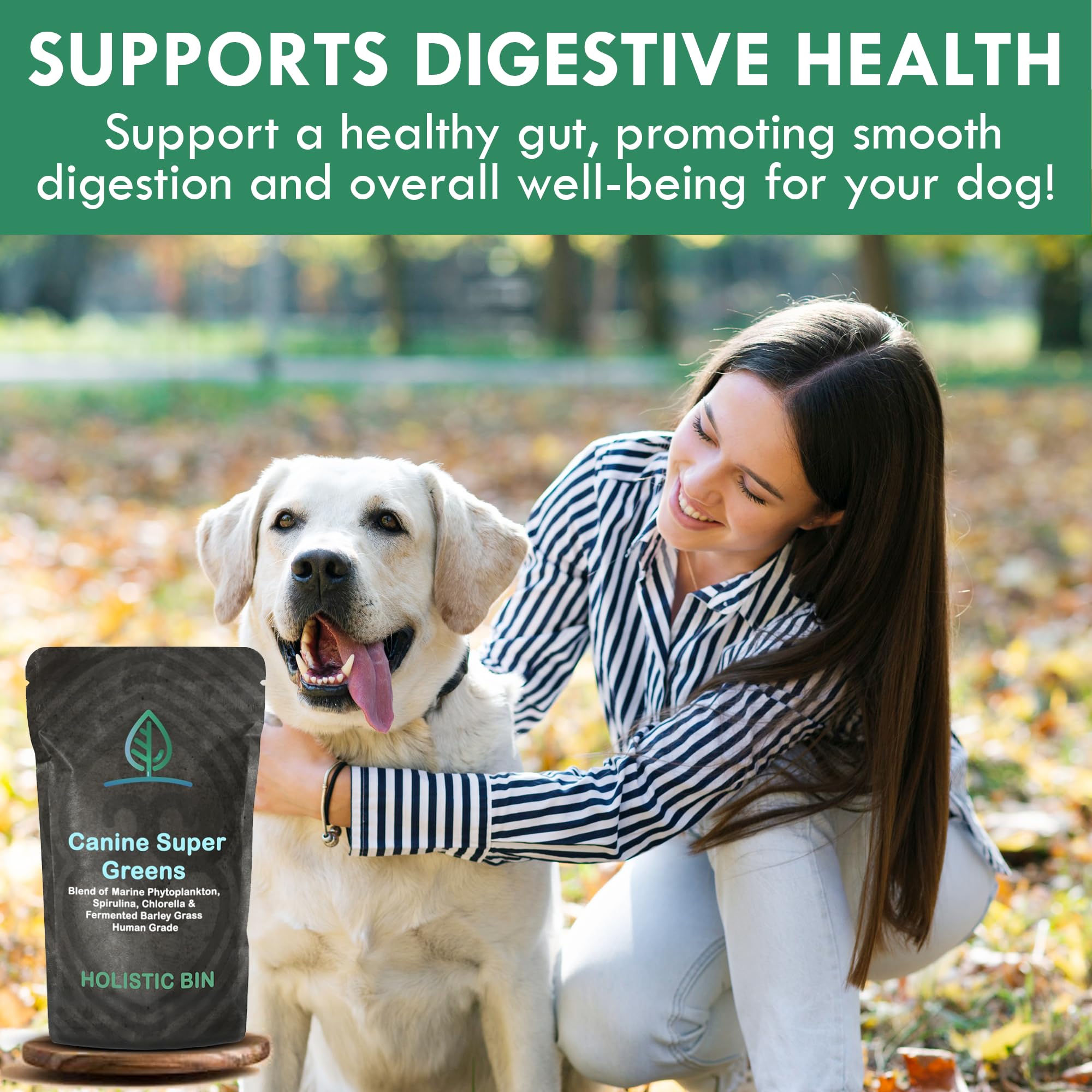 Holistic Bin greens powder easily blends with broth or warm water.