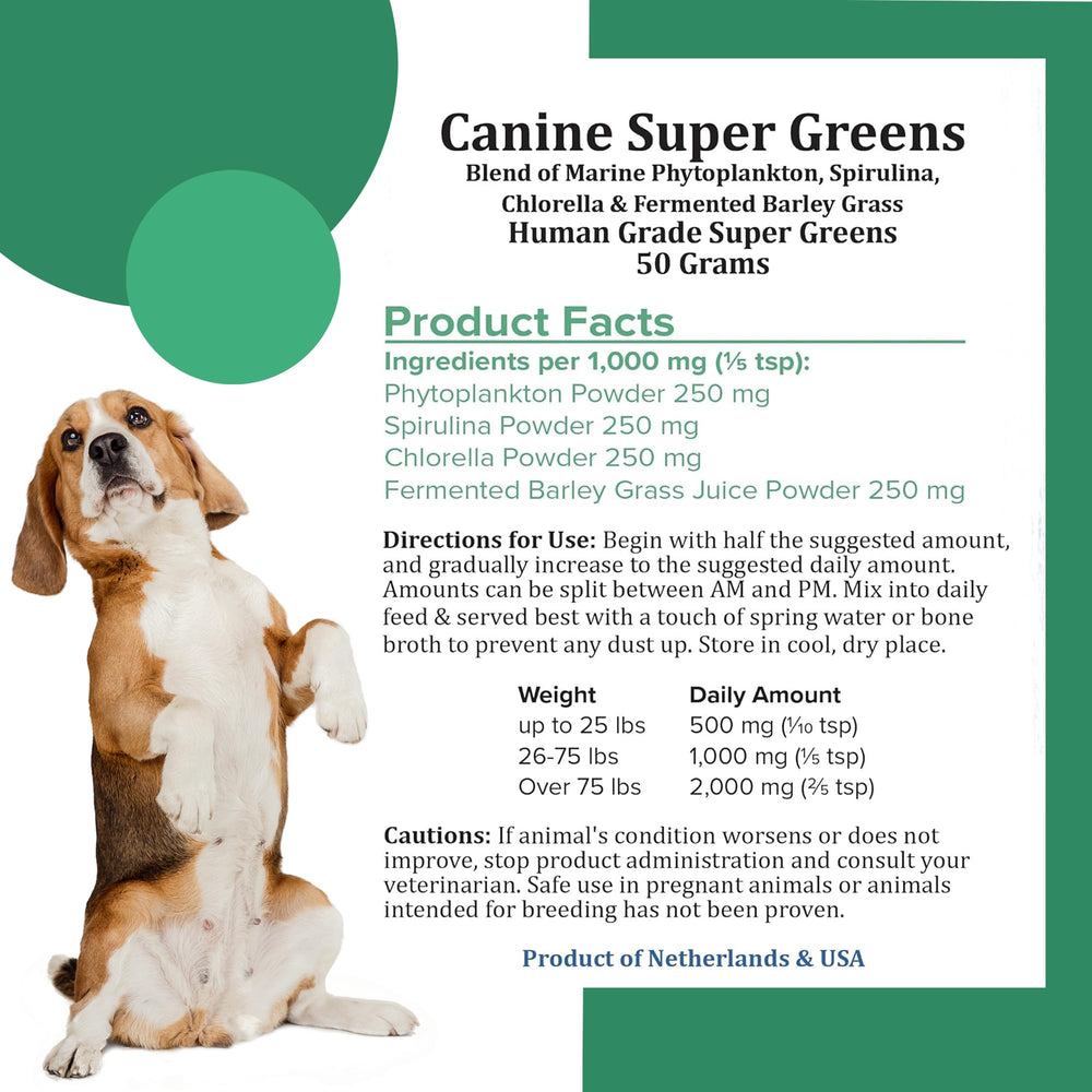 Holistic Bin fermented barley grass powder shows easy meal mixing.