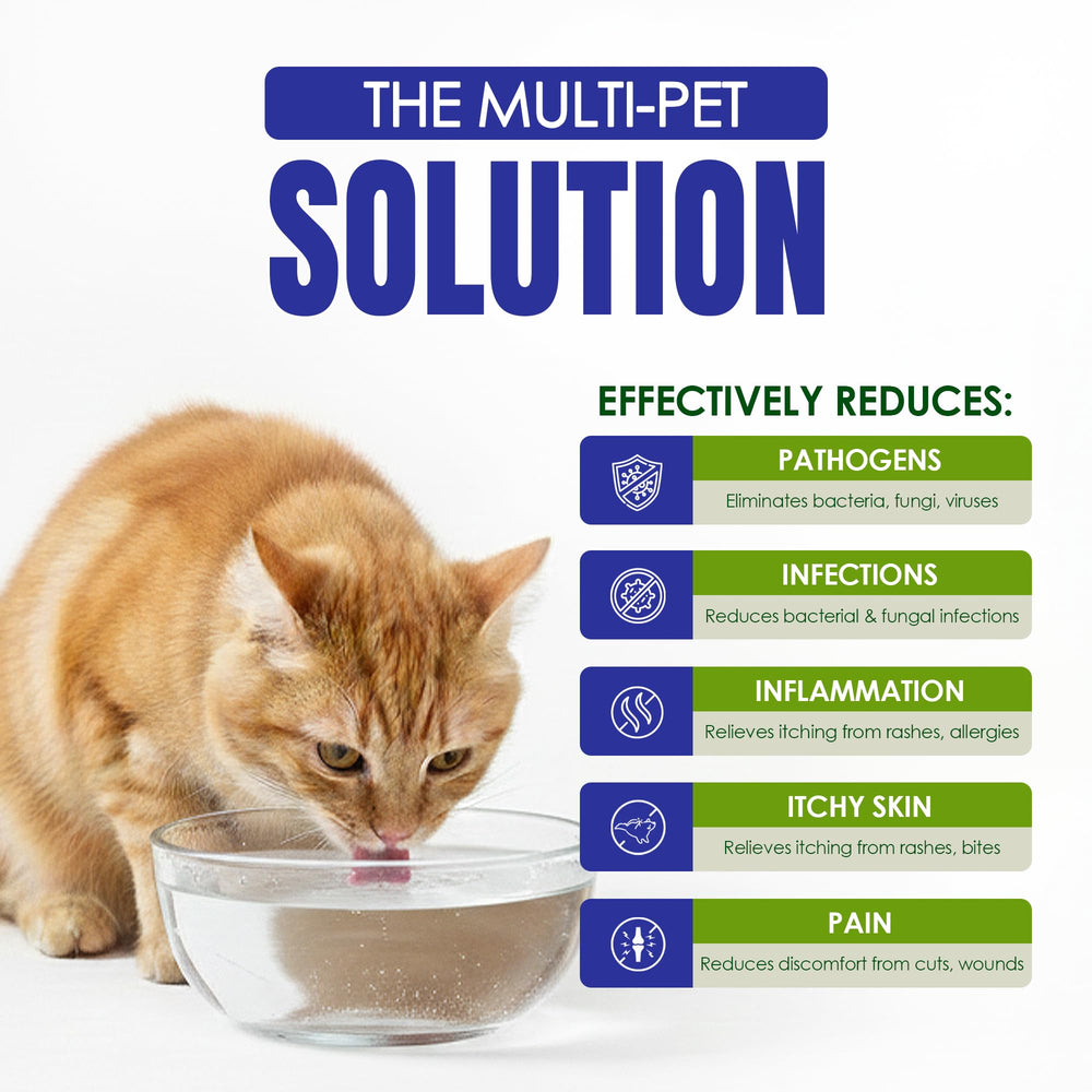 Holistic Pet Care Colloidal Silver used on a bird for gentle skin relief
