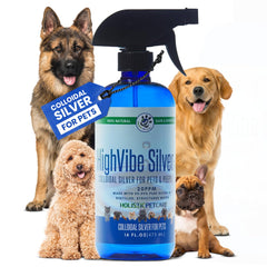 Holistic Pet Care colloidal silver bottle pour for gentle wound care in pets.