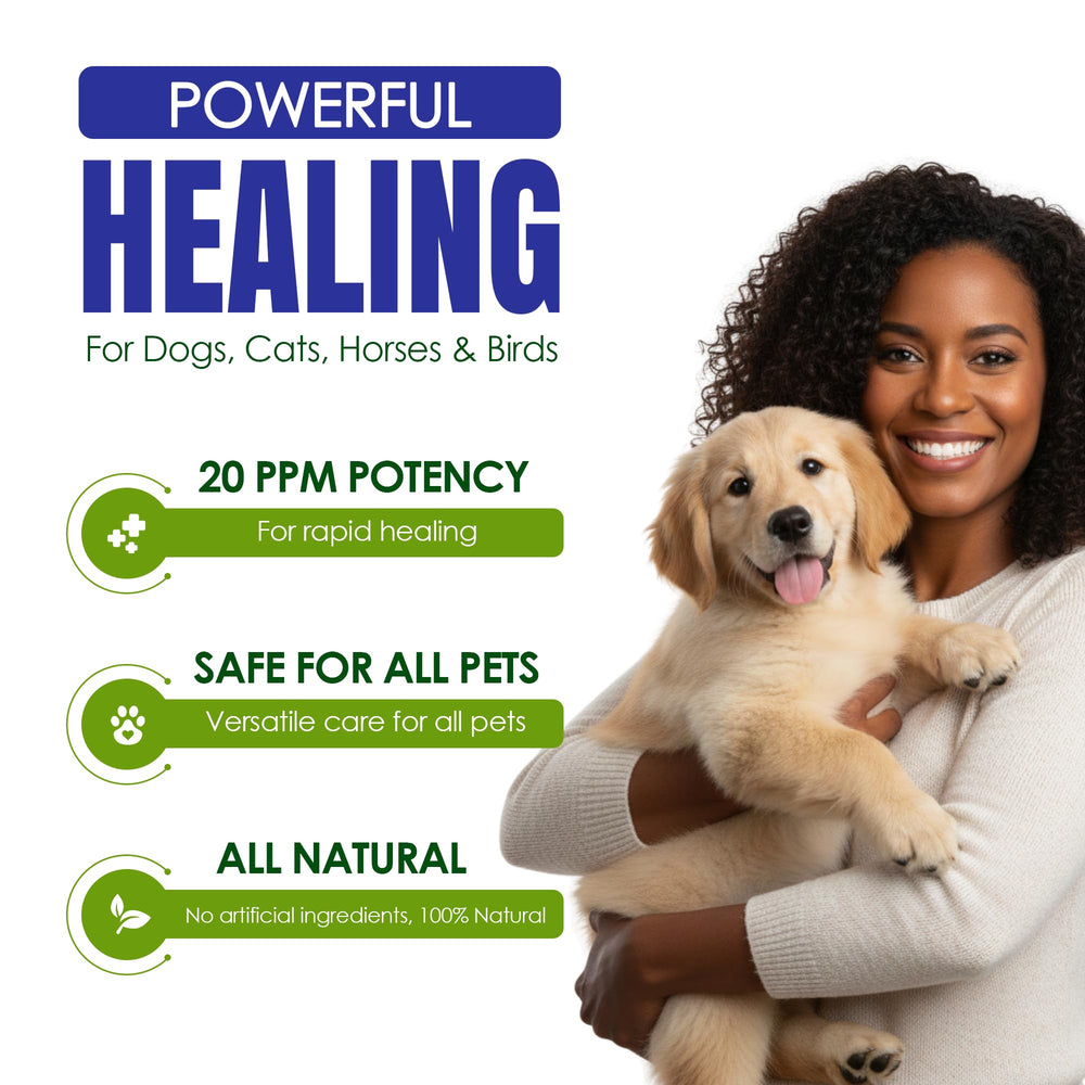 Holistic Pet Care Colloidal Silver applied to a cat hotspot