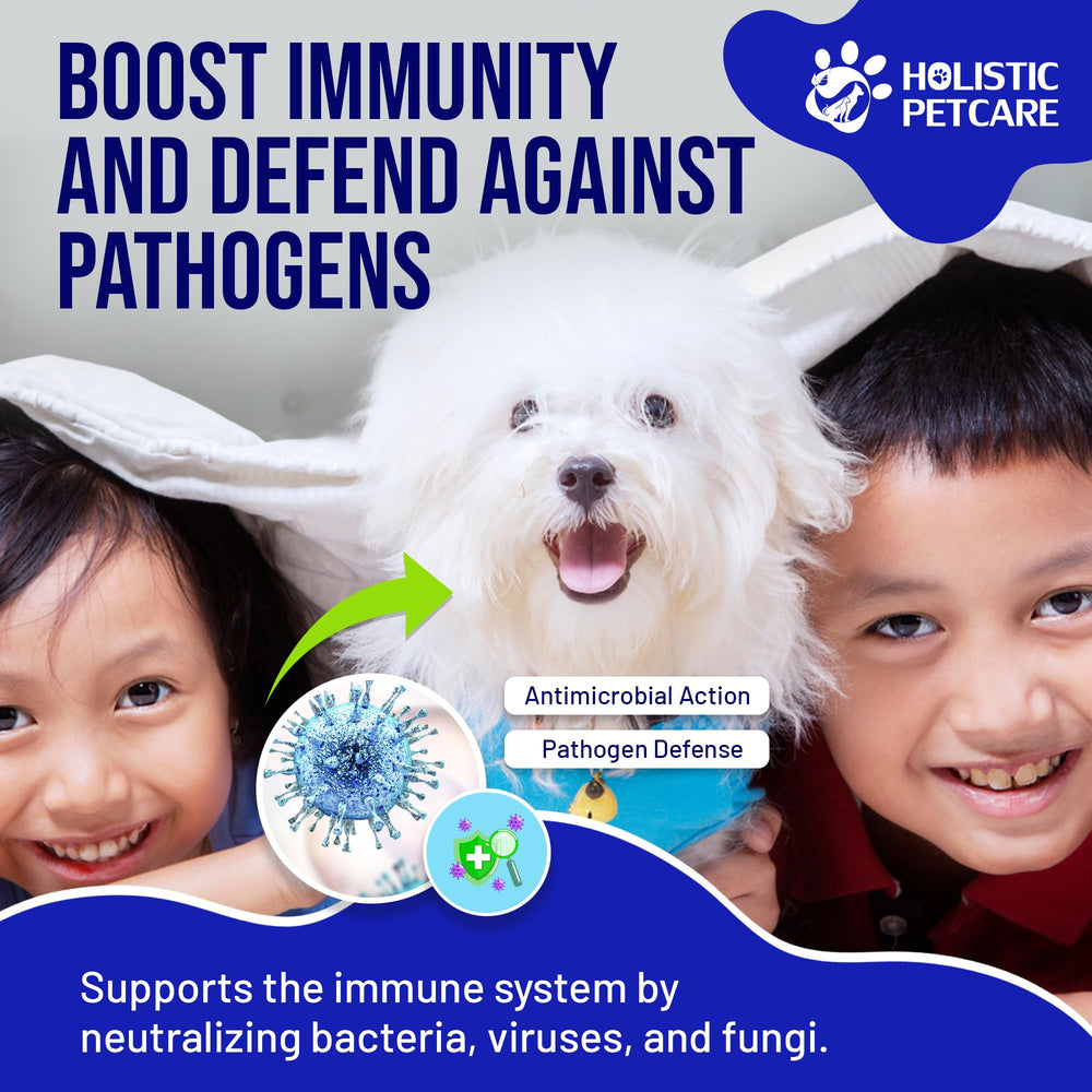 Holistic Pet Care colloidal silver dog care spray for itching and comfort.