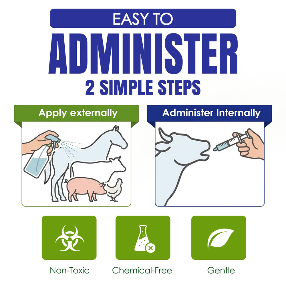 Holistic Pet Care Colloidal Silver bottle shown in a home pet first-aid context
