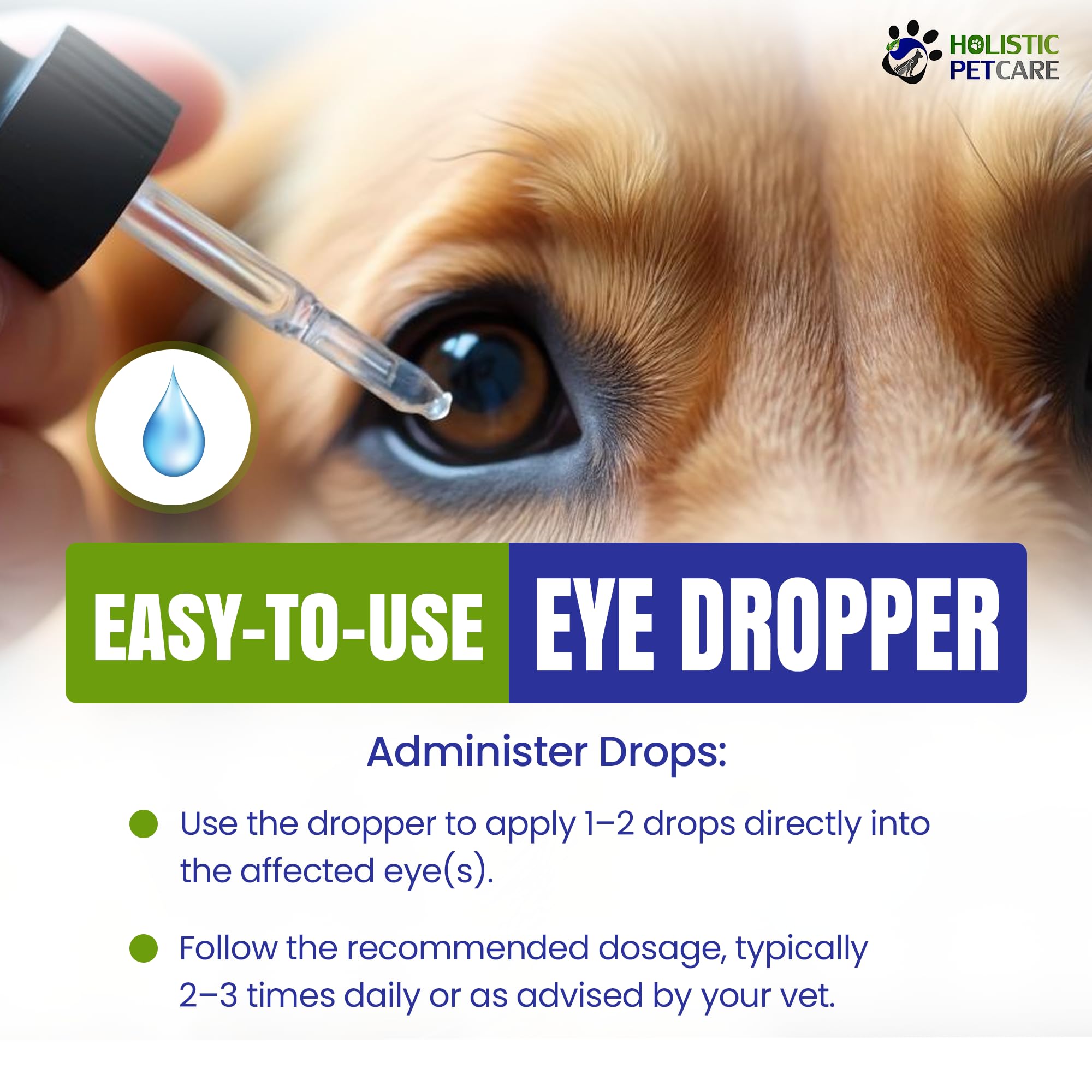 Holistic Pet Care Eye Ulcer Drops dropper distributing drops to a pet eye.