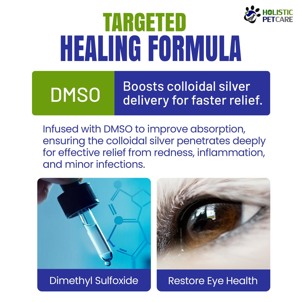 Holistic Pet Care Eye Ulcer Drops night-use with oil addition concept illustration.